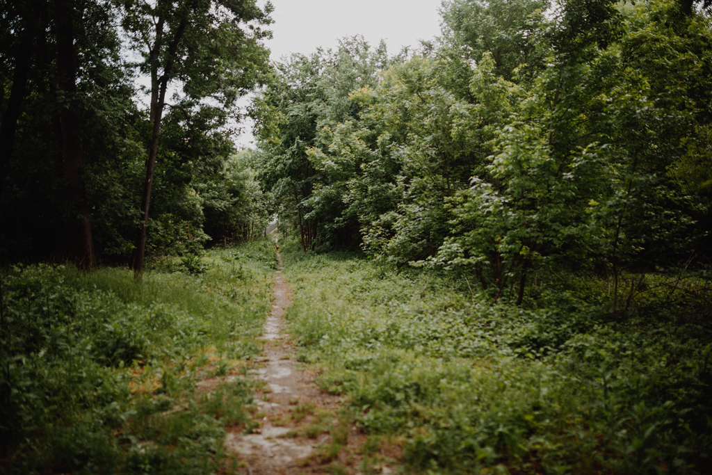 E3B4079.jpg