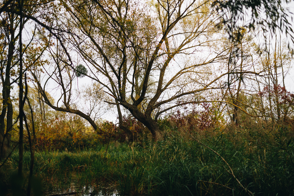 E3B0998.jpg