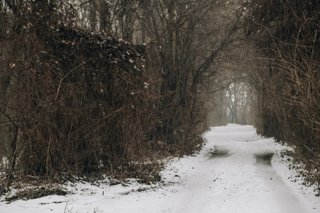 DSCF3718.jpg