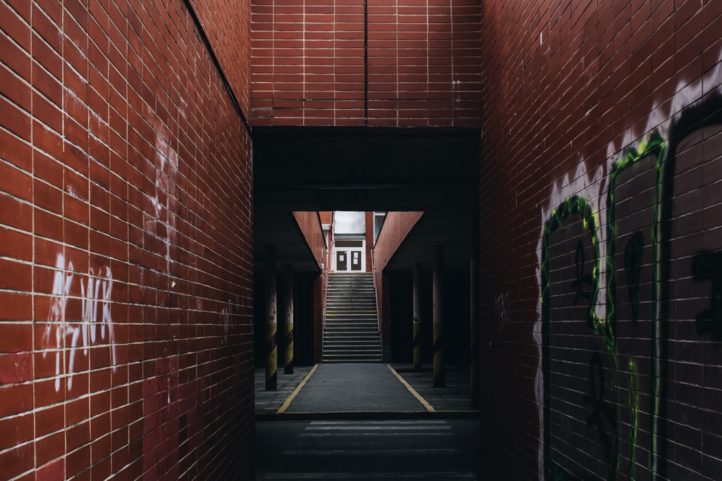 DSCF6233.jpg